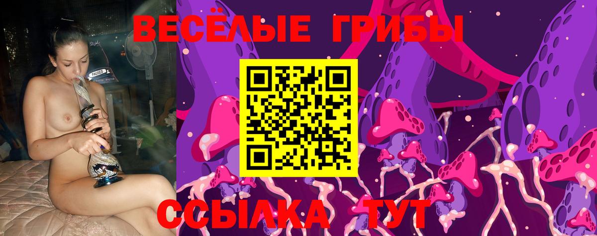 Псилоцибиновые грибы Psilocybine cubensis Белореченск